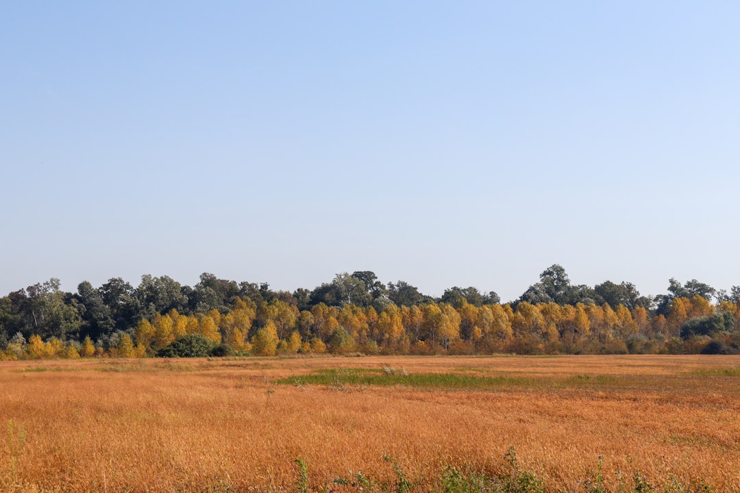 Kentucky land buyer