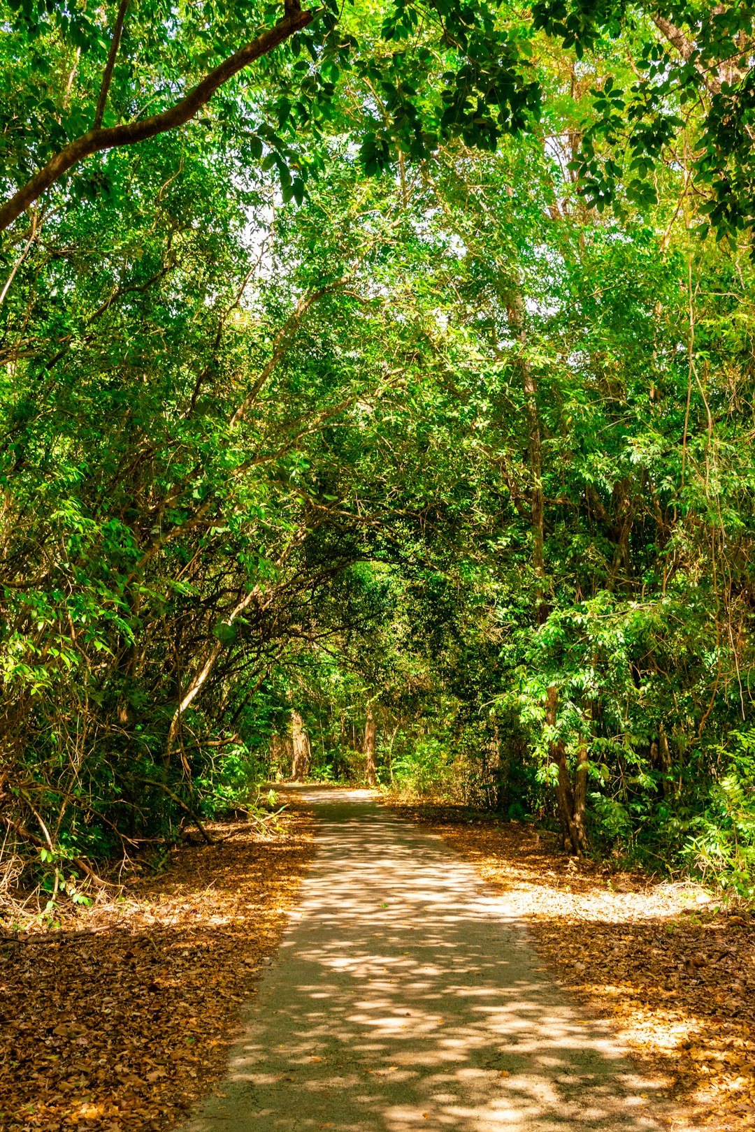 What is the value of Hawaii land when costing money?