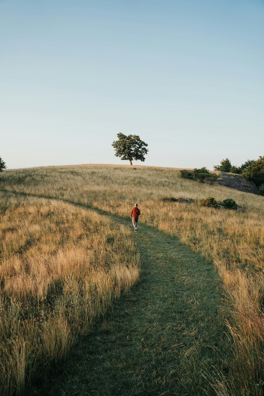 How to Market Your The Golden State Land Rapidly for Cash