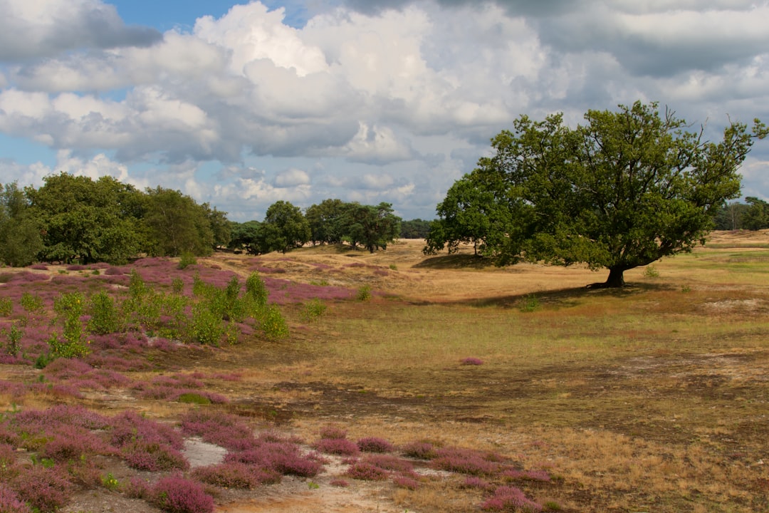 Sell land in Mississippi