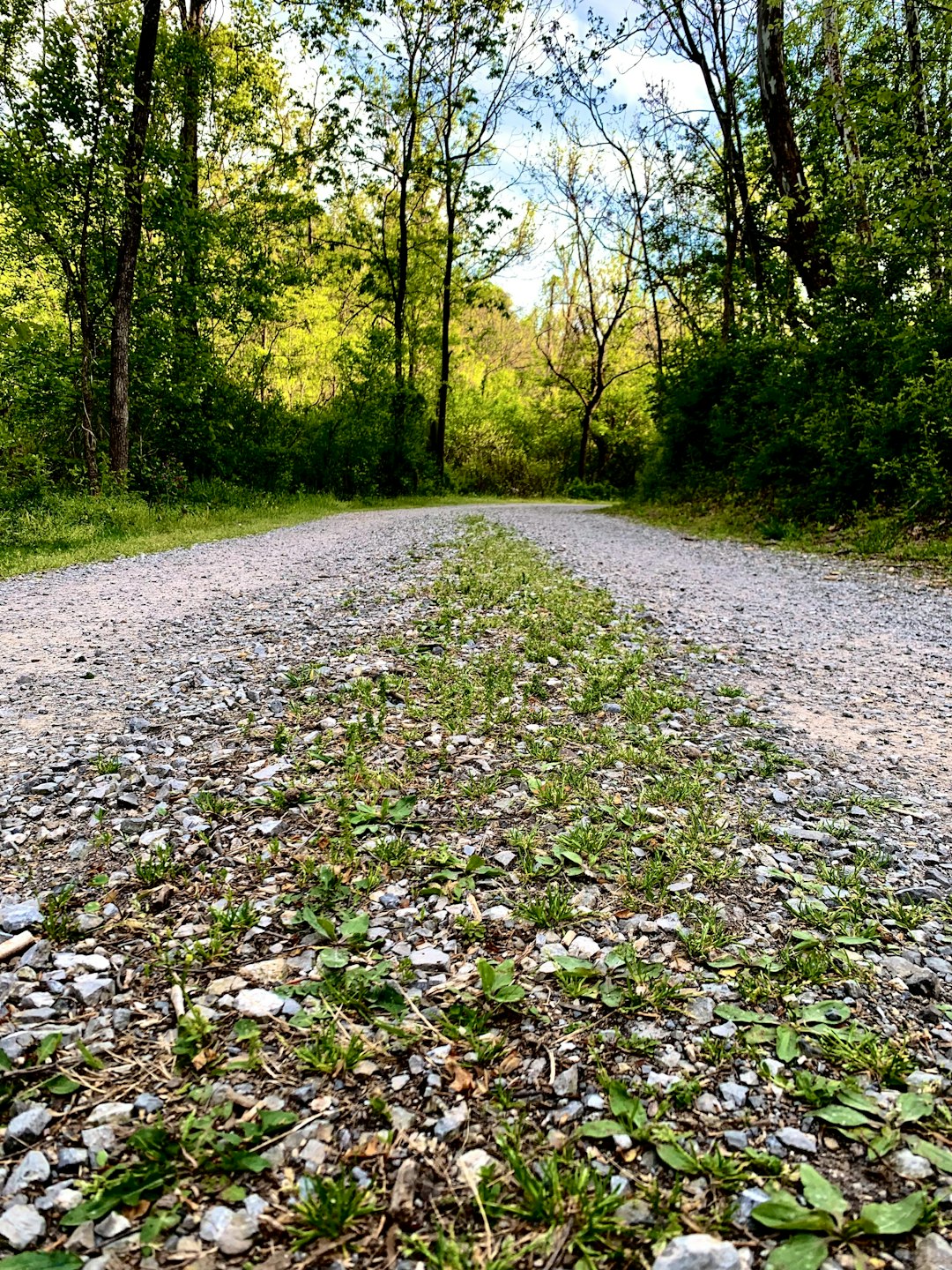 What is the value of Mississippi land when cost money?