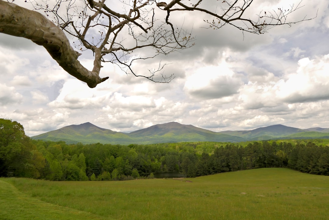 Rural property buyers