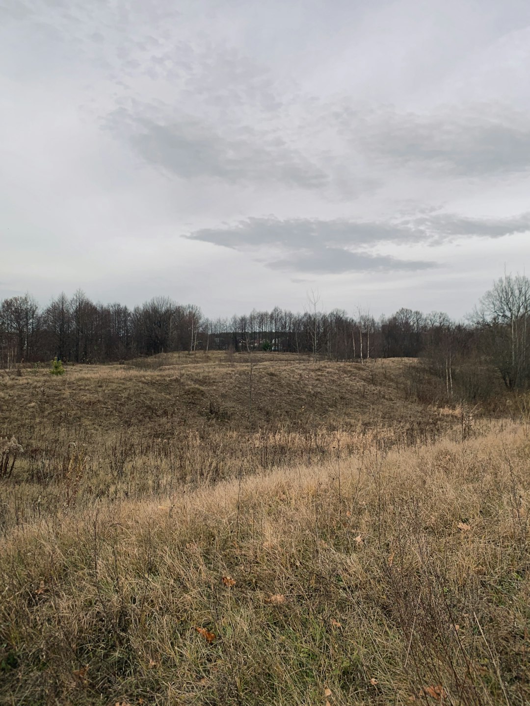  How to Sell Your Ohio Land Quickly for Cash