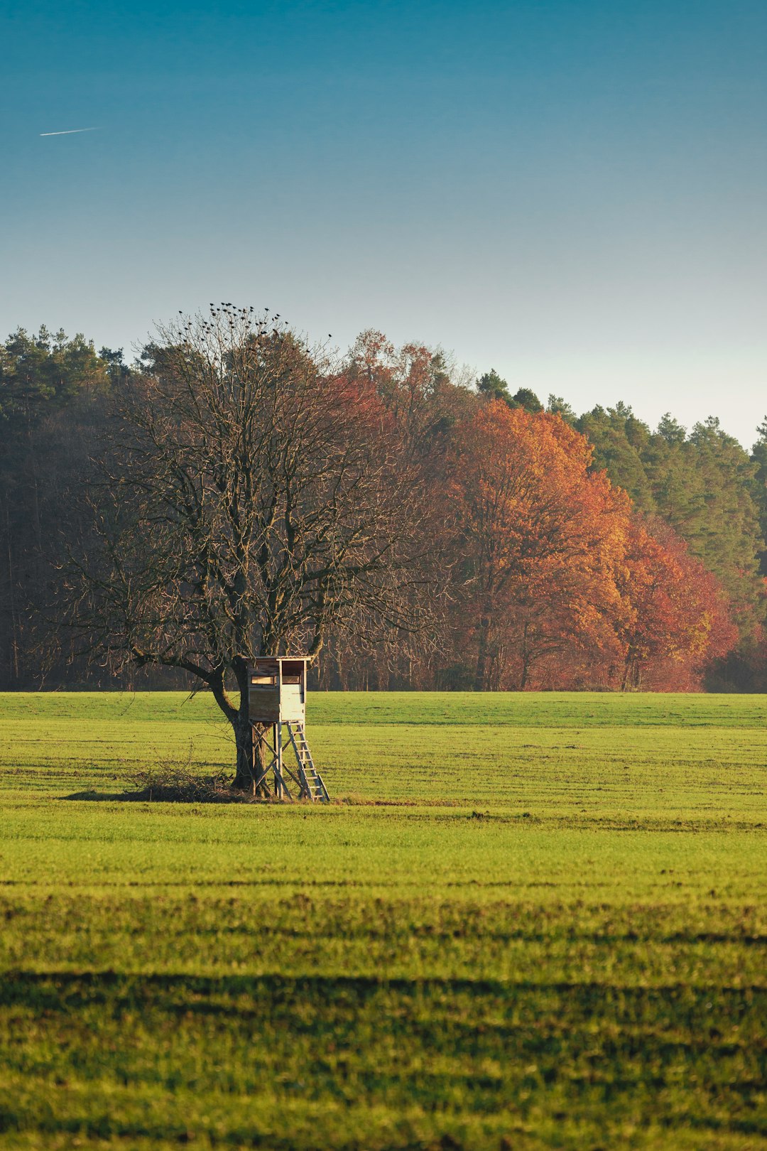 How to Navigate the Refine of Selling Connecticut Land for Money