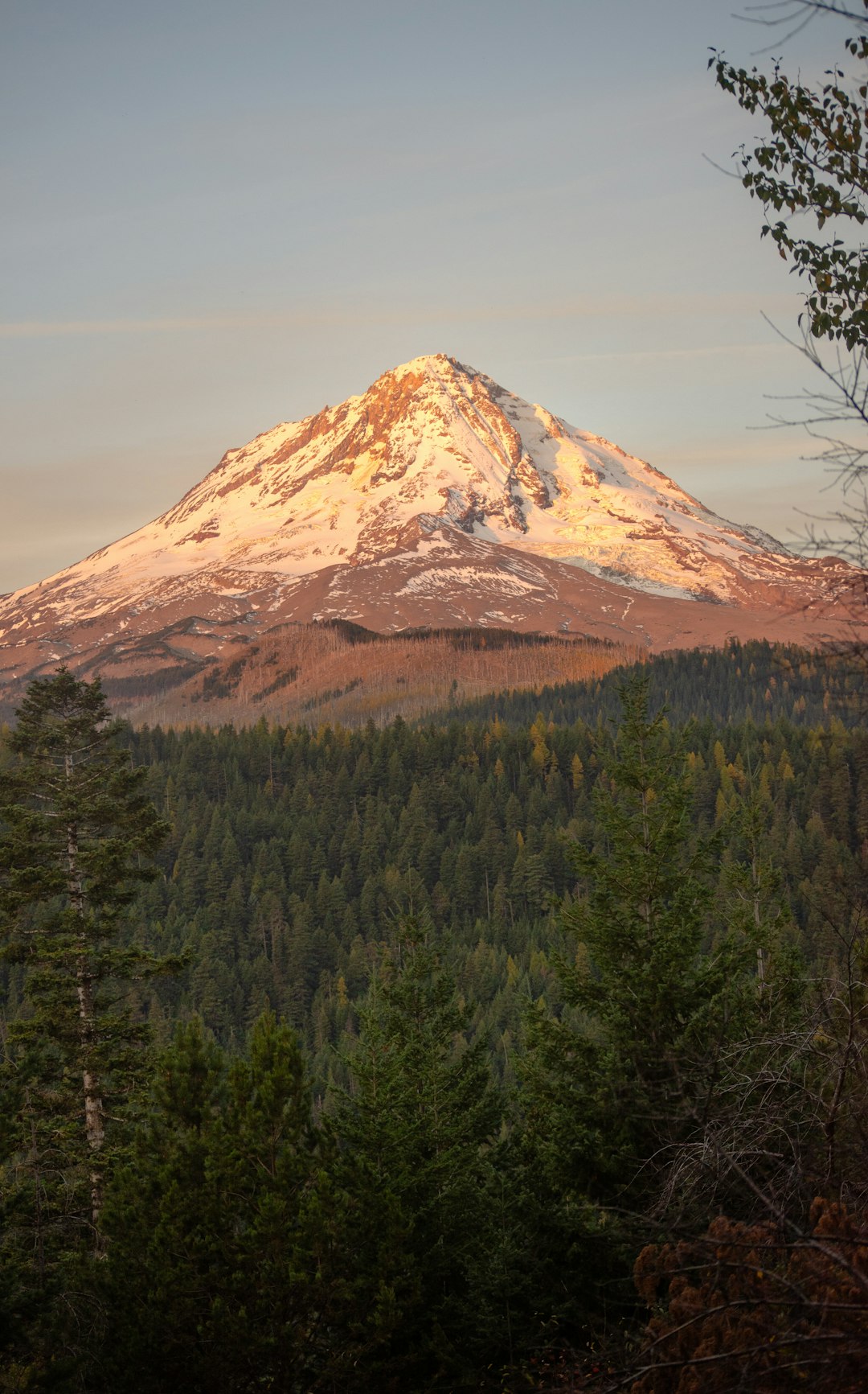 What is the possible make money from selling Idaho land for cash money?