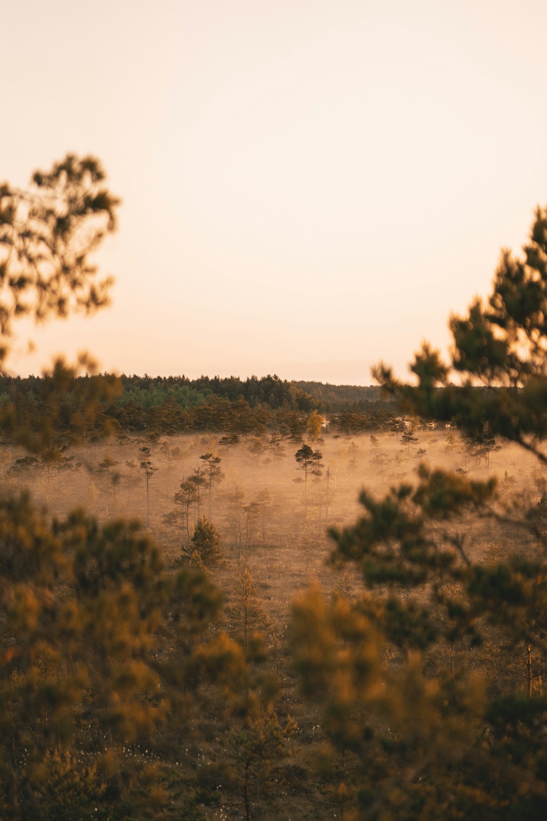 The process of offering Nevada land directly to a buyer for money