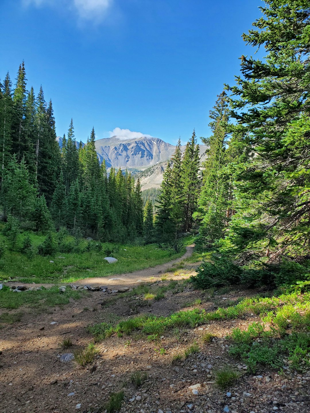 Discussing with Cash Buyers for Wyoming Land