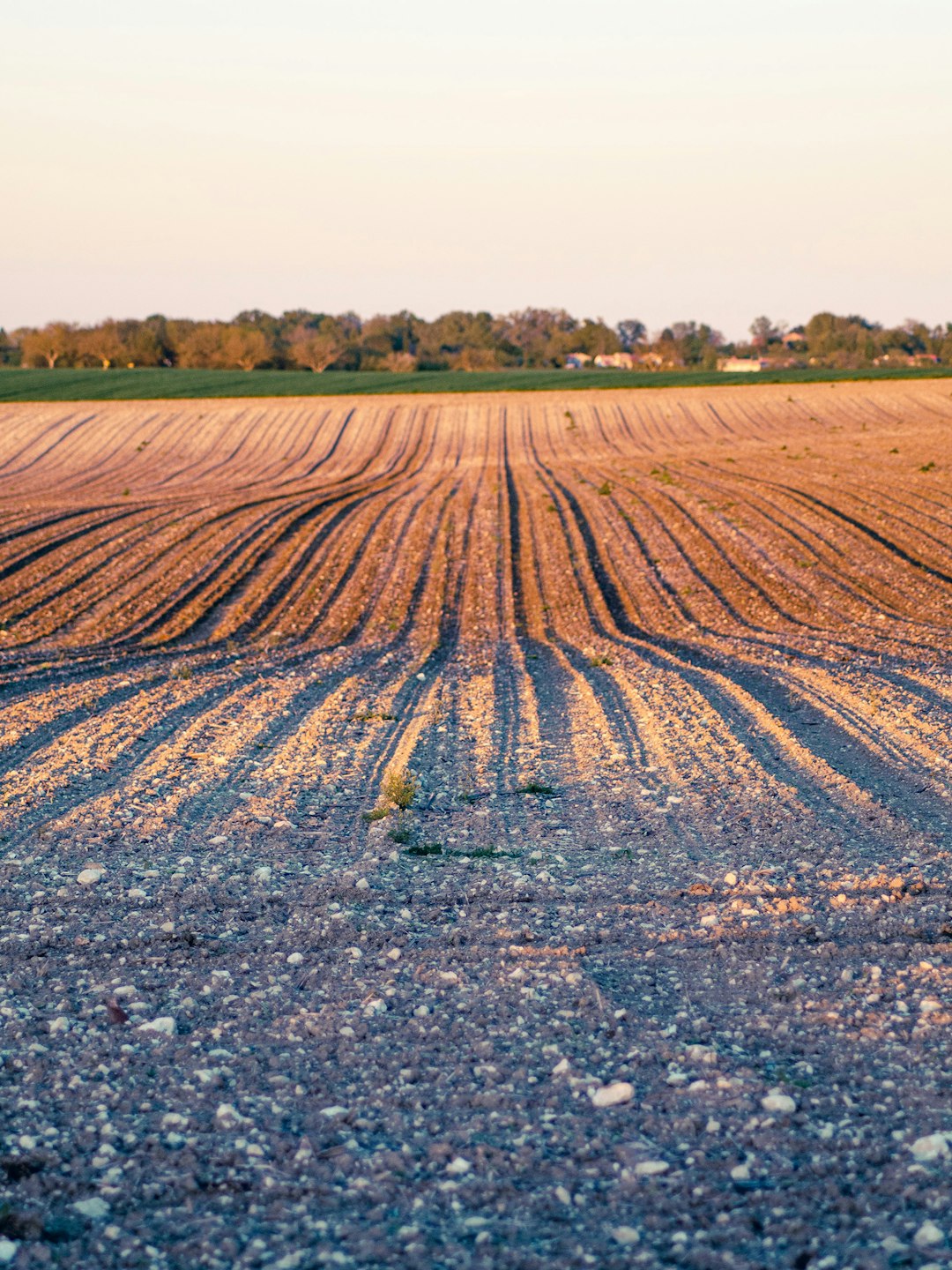 What is the worth of Wyoming land when costing cash money?