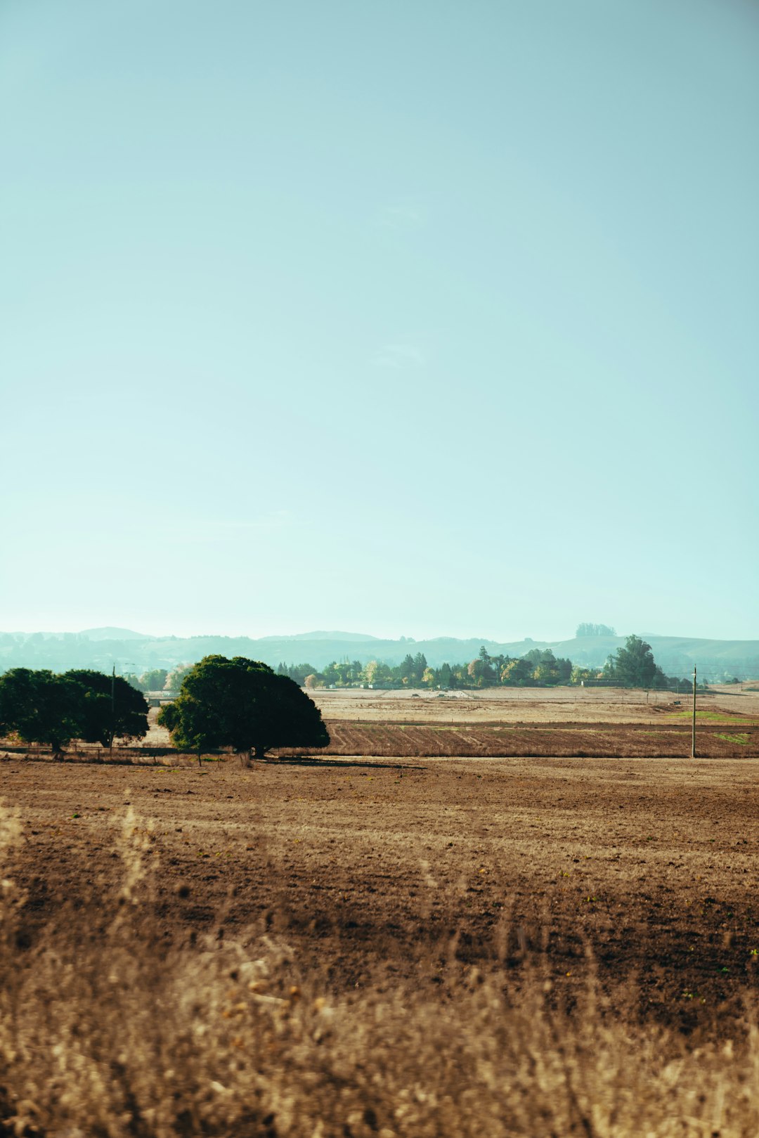 Preparing Your Wyoming Land for a Cash Sale