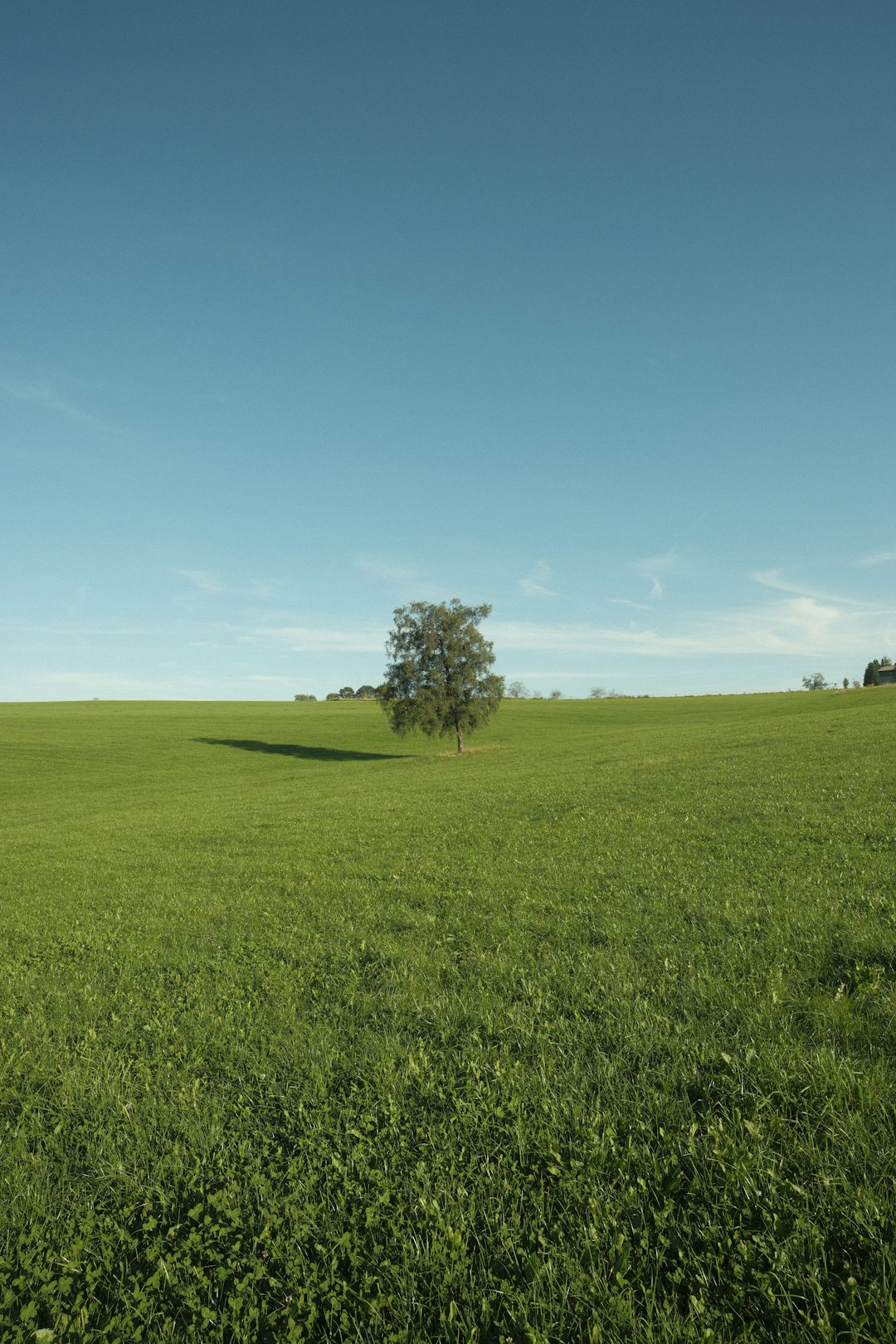 Preparing Your Wyoming Land for a Cash Sale