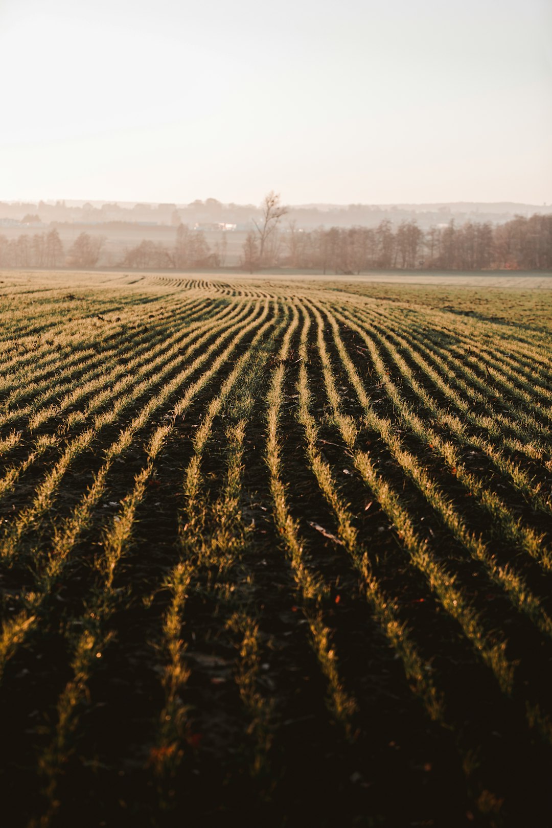 Recognizing the Cash Money Sale Refine for Wyoming Land