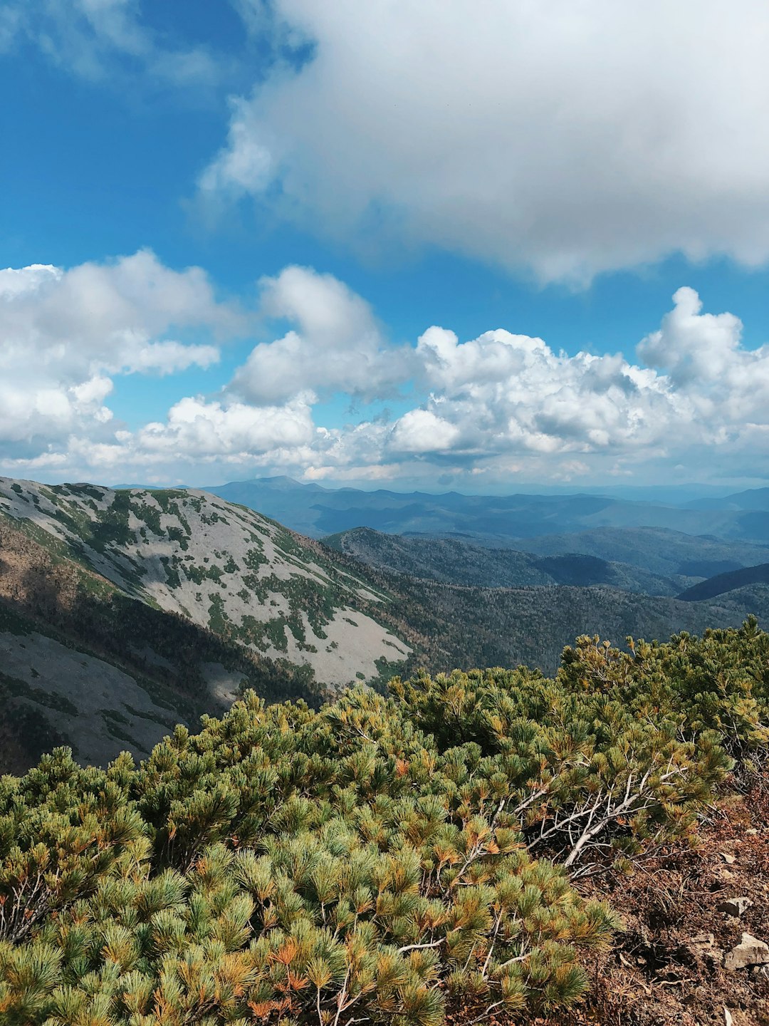 What is the value of Virginia land when selling it for cash money?