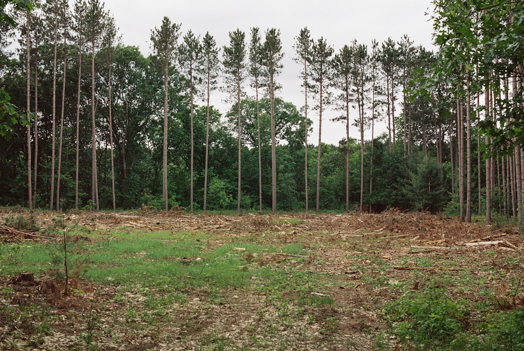 How to Unlock Hidden Wealth: Sell Your North Carolina Land for Cash Instantly!