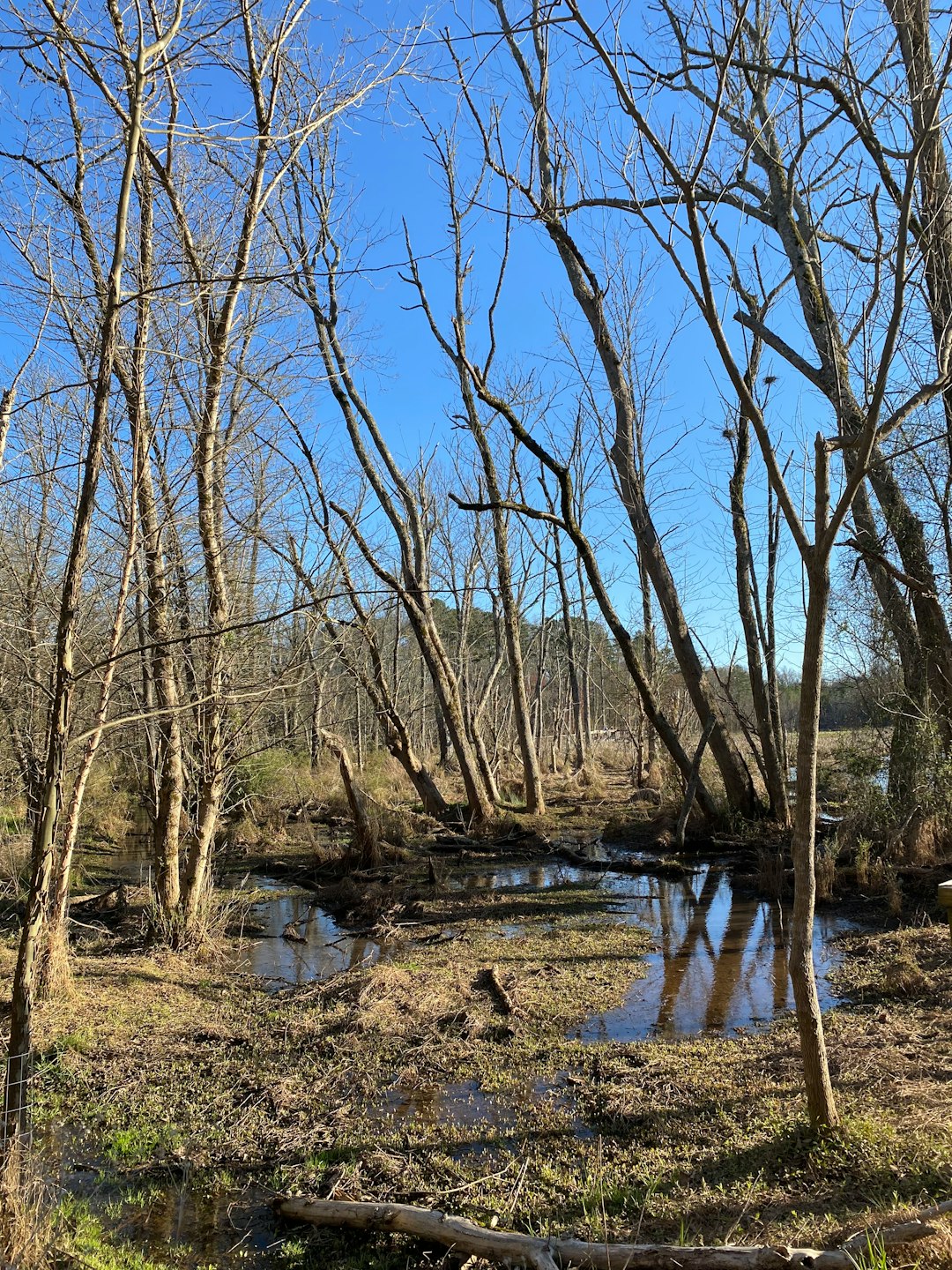 What is the average price per acre when offering North Carolina land for cash money?