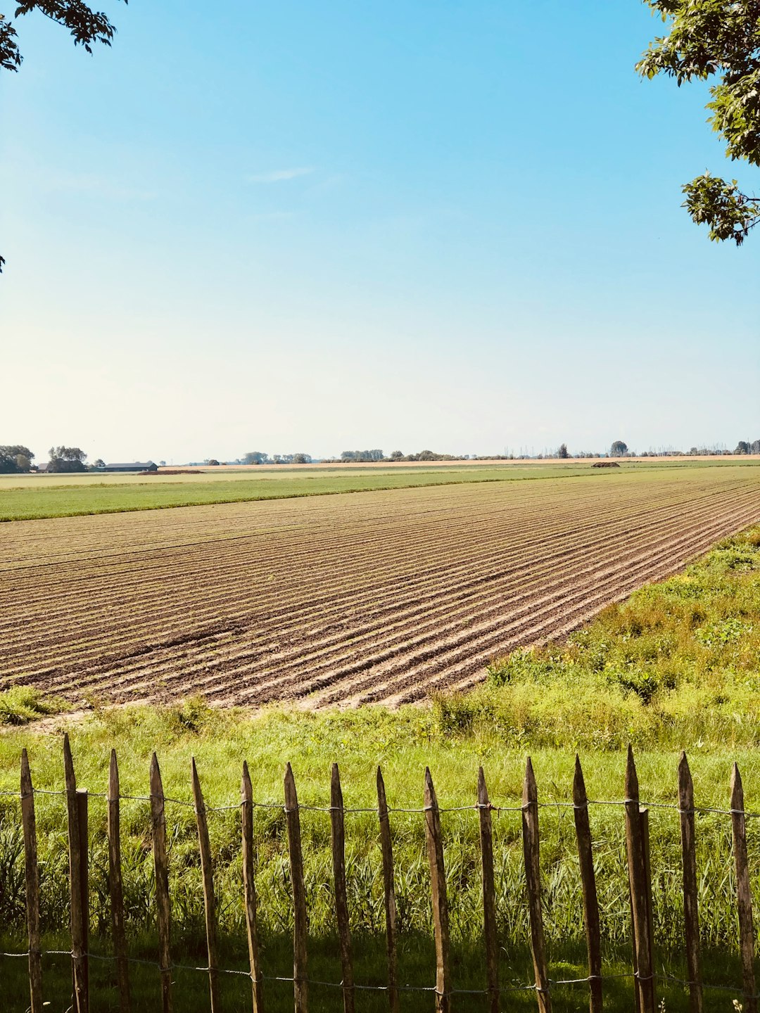 What is the marketplace value of Nebraska land for a cash money sale?