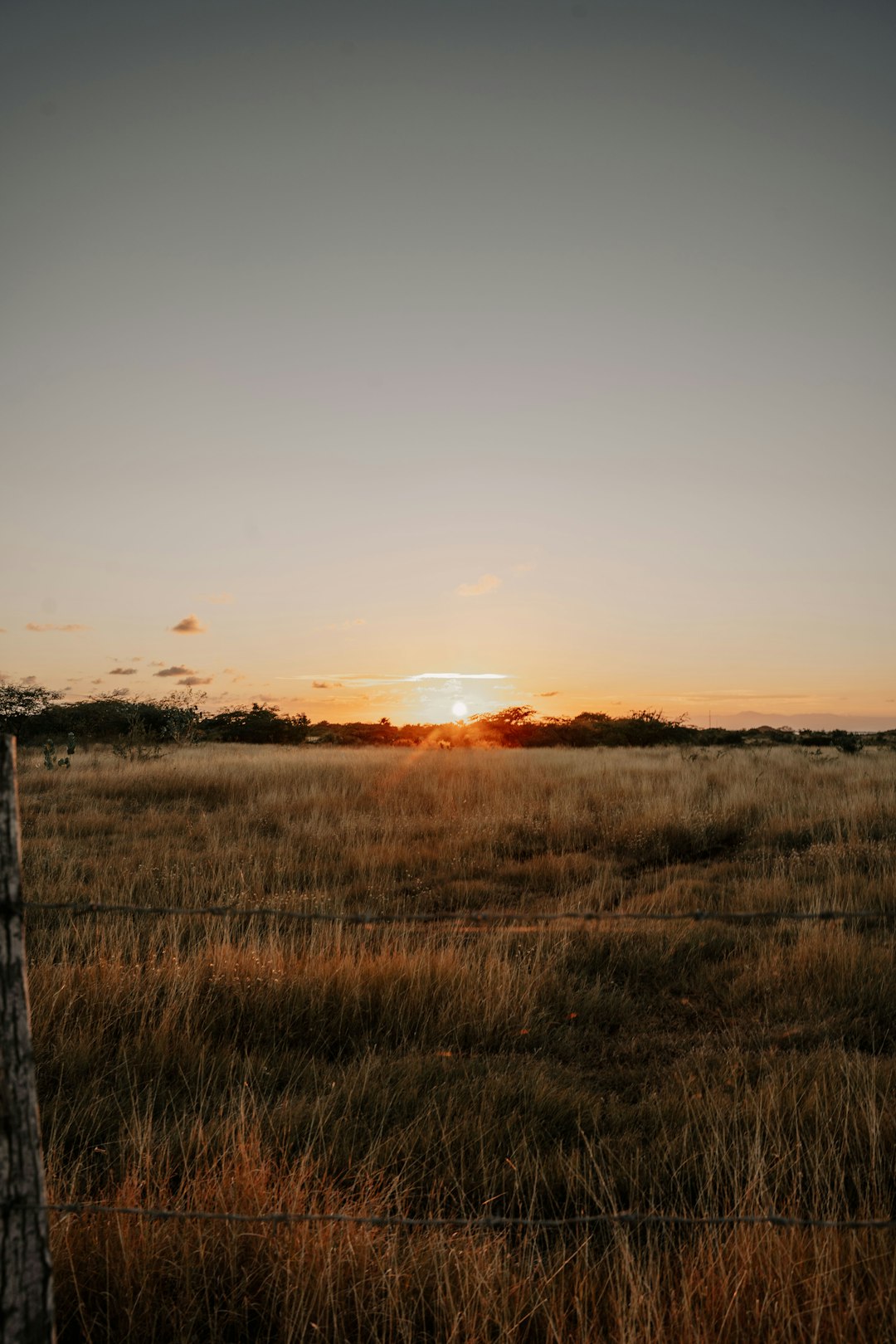 What are the possible tax obligation implications of selling Nebraska land for cash?