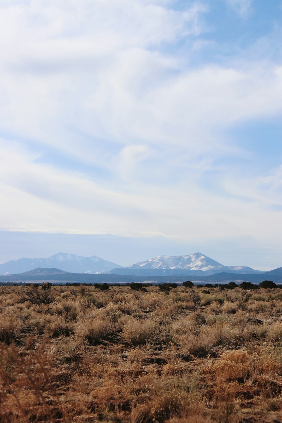 What elements should be thought about prior to making a decision to market Nebraska land for cash money?