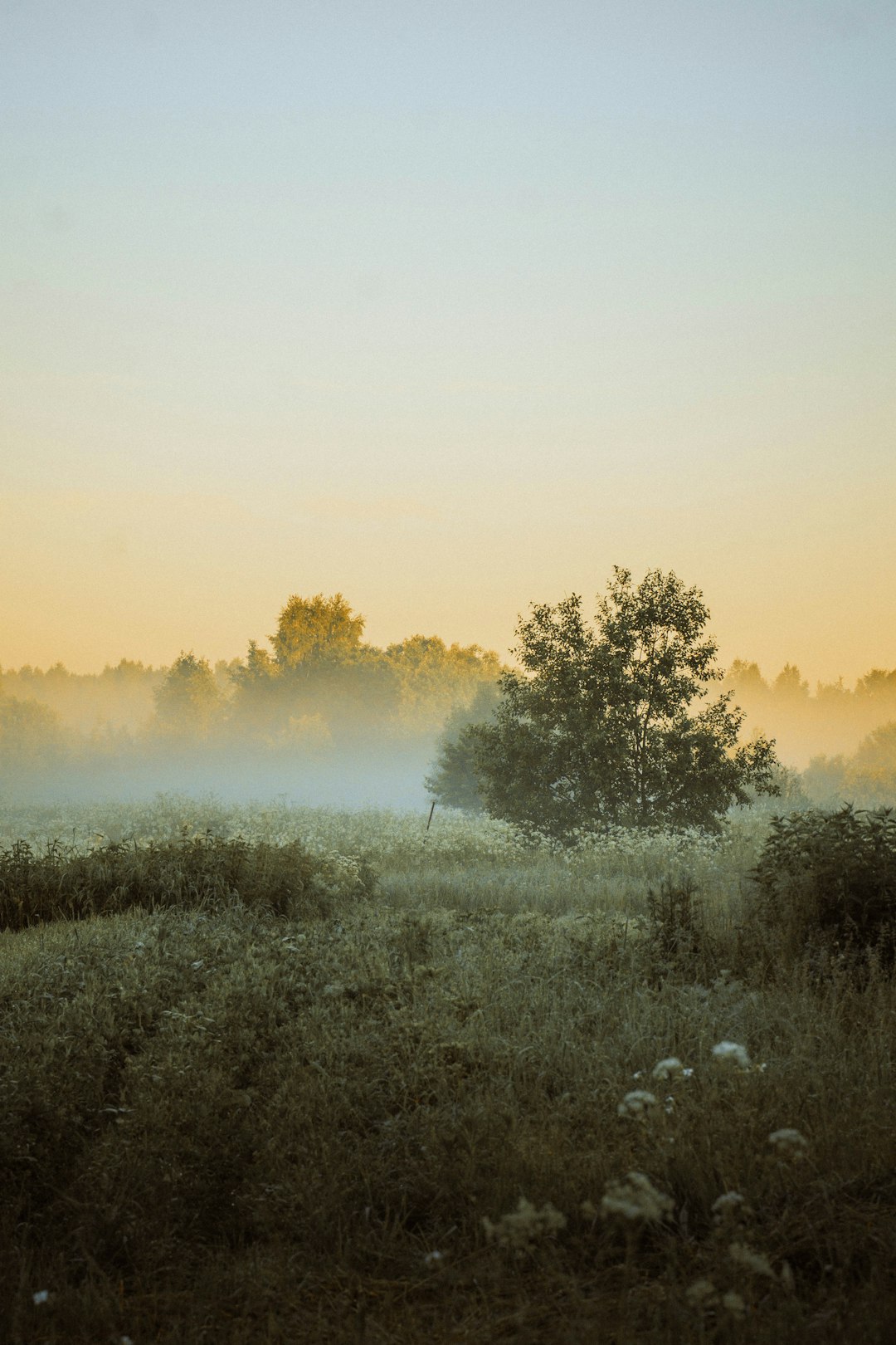 What factors should be thought about prior to deciding to sell Nebraska land for cash?