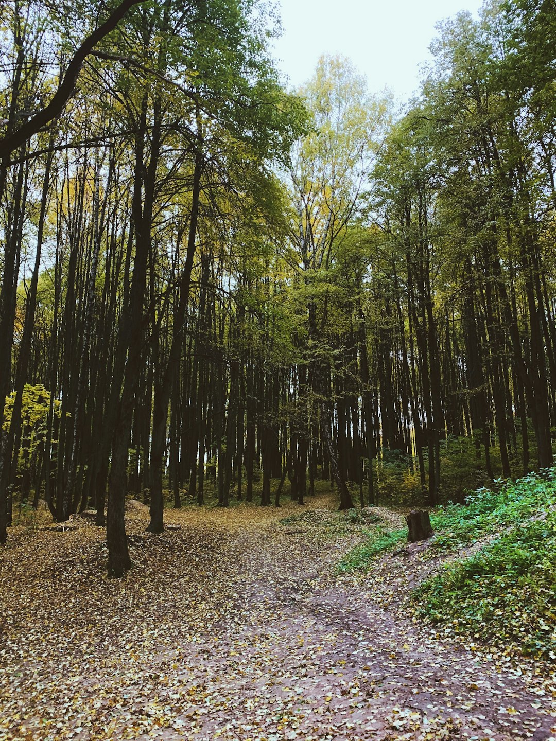 Selling land quickly in Louisiana