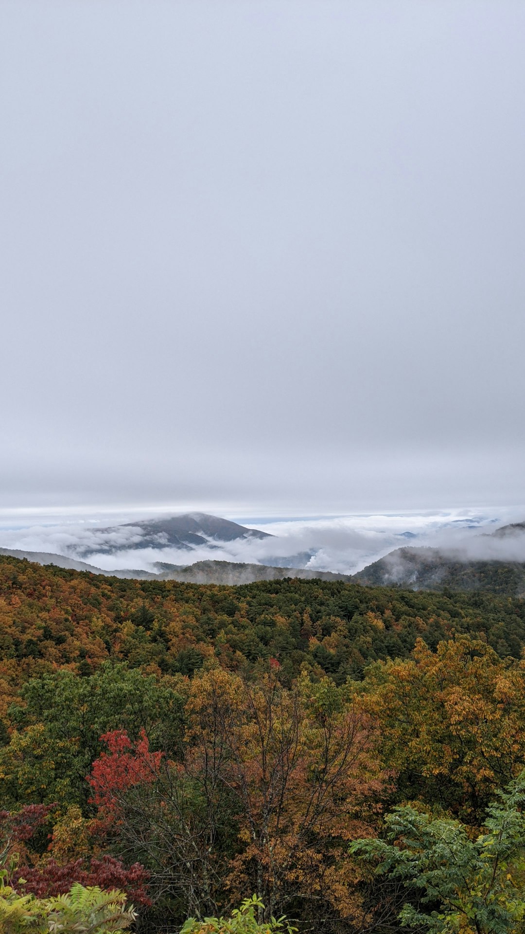 Recognizing the Lawful Landscape of Louisiana Land