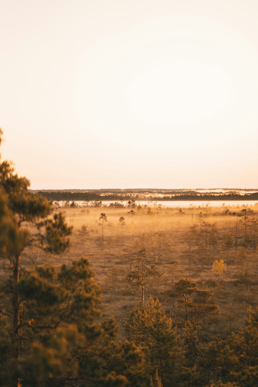 Recognizing the Legal Landscape of Louisiana Land