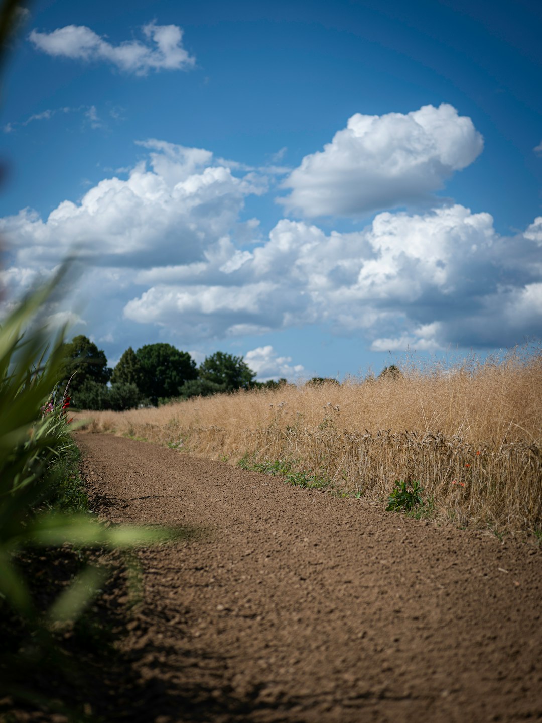 What is the marketplace like for offering New Jersey land for money?