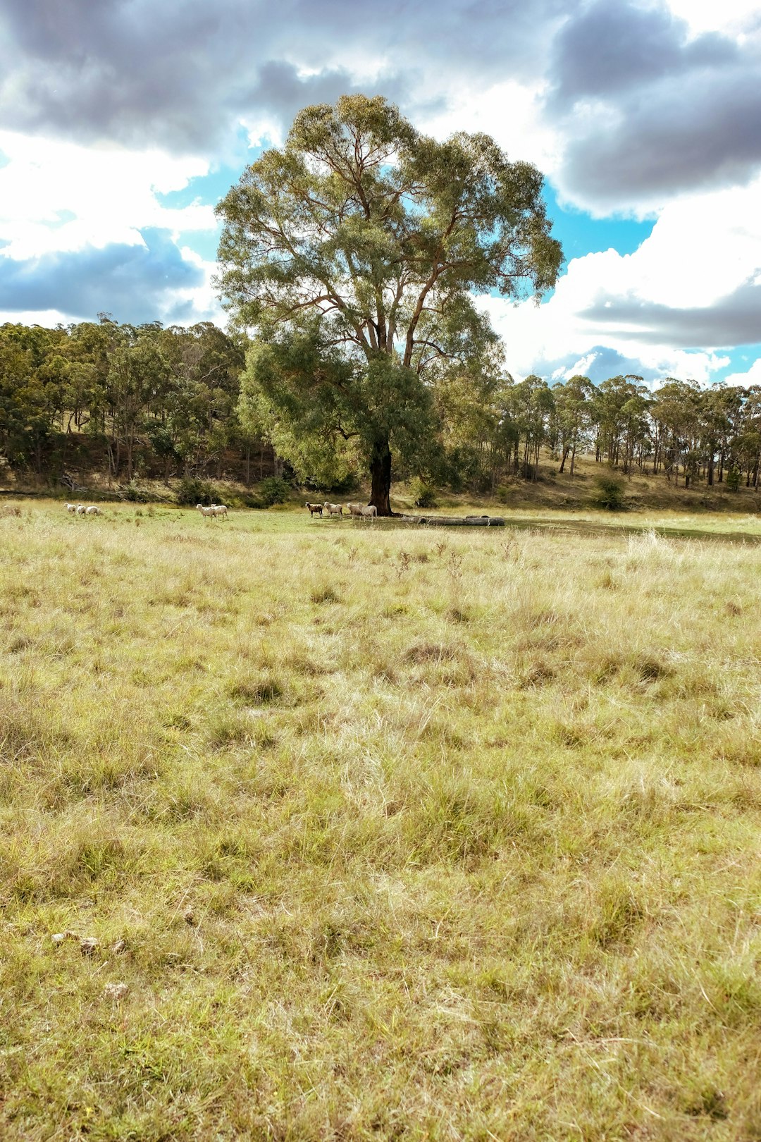 Types of Land Available in Texas