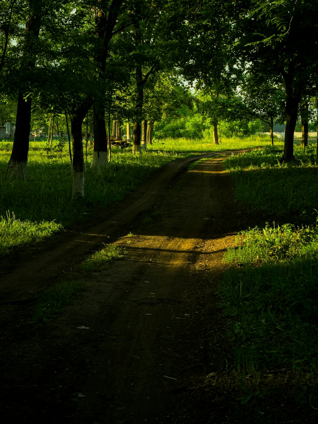 Benefits of Owning Land in Texas