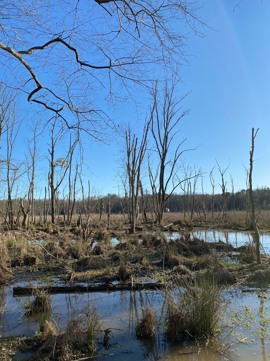 What is the quickest means to locate customers for Connecticut land in exchange for cash?