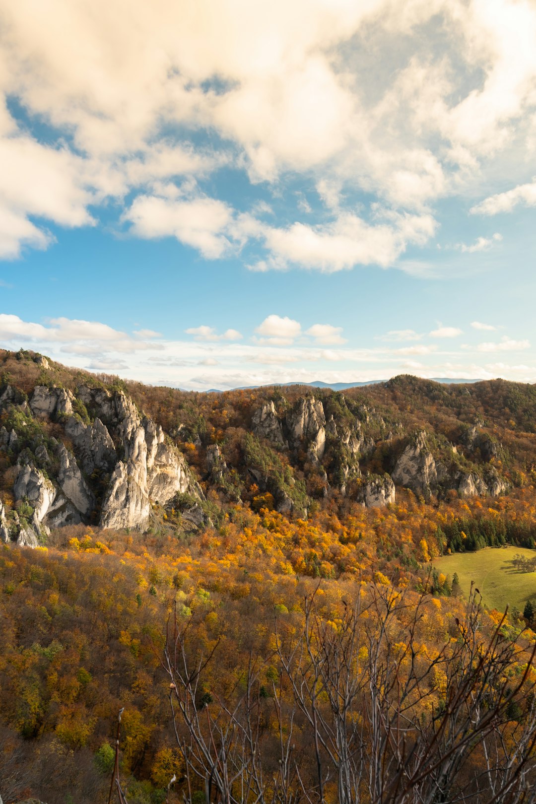 What is one of the most reliable technique for selling West Virginia land quickly?