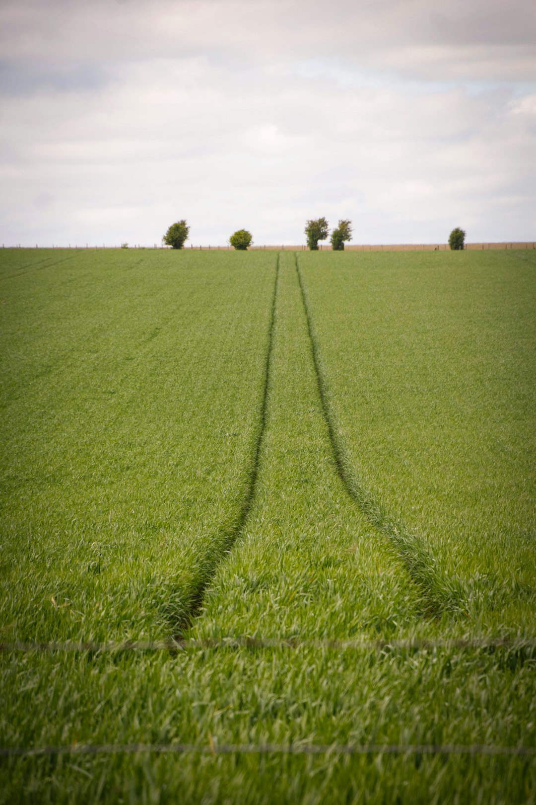 How to Maximize Earnings by Marketing Your North Dakota Land for Money