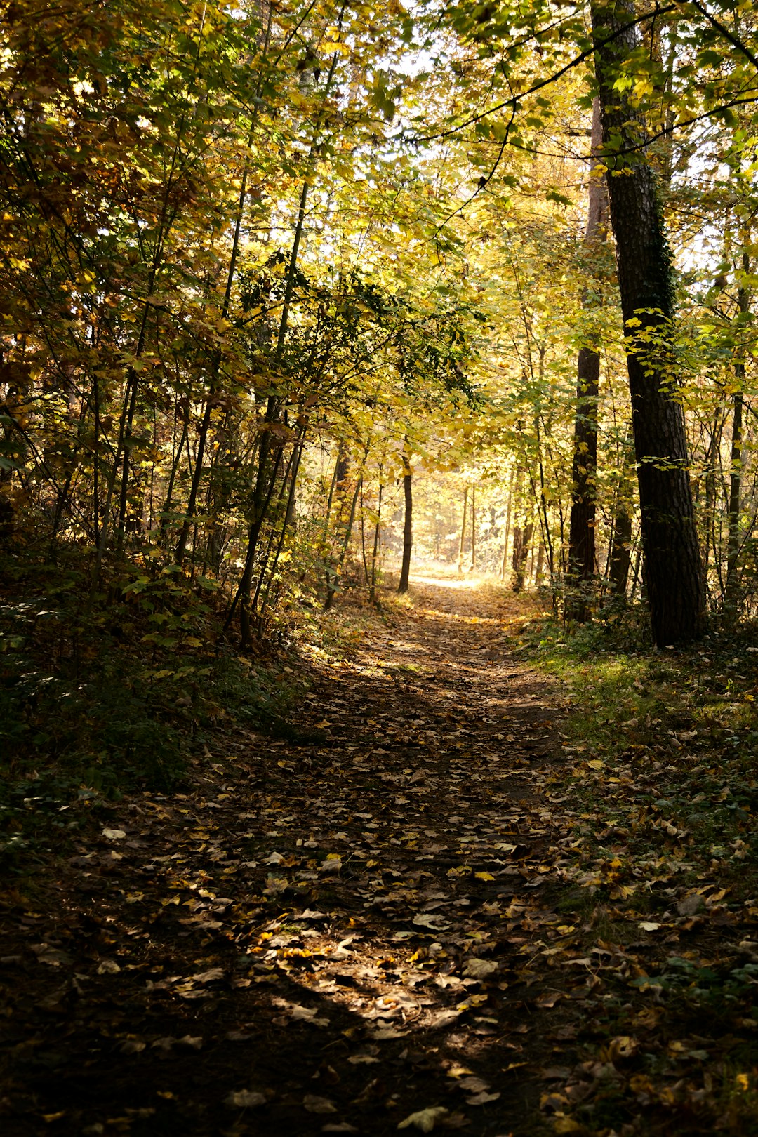 How to Maximize Profit by Selling Vermont Land for Money