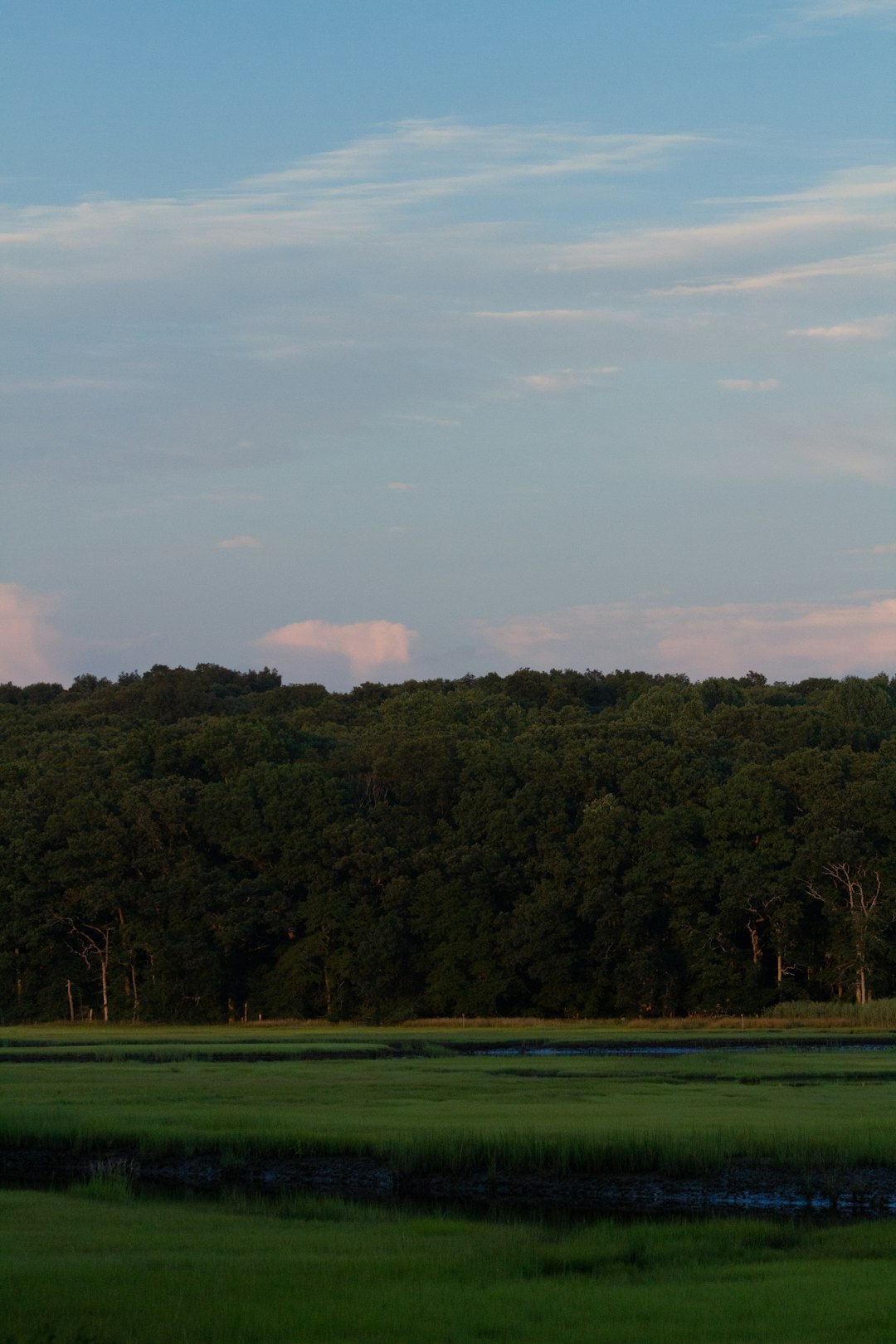 How to Make Best Use Of Revenue by Selling Vermont Land for Money