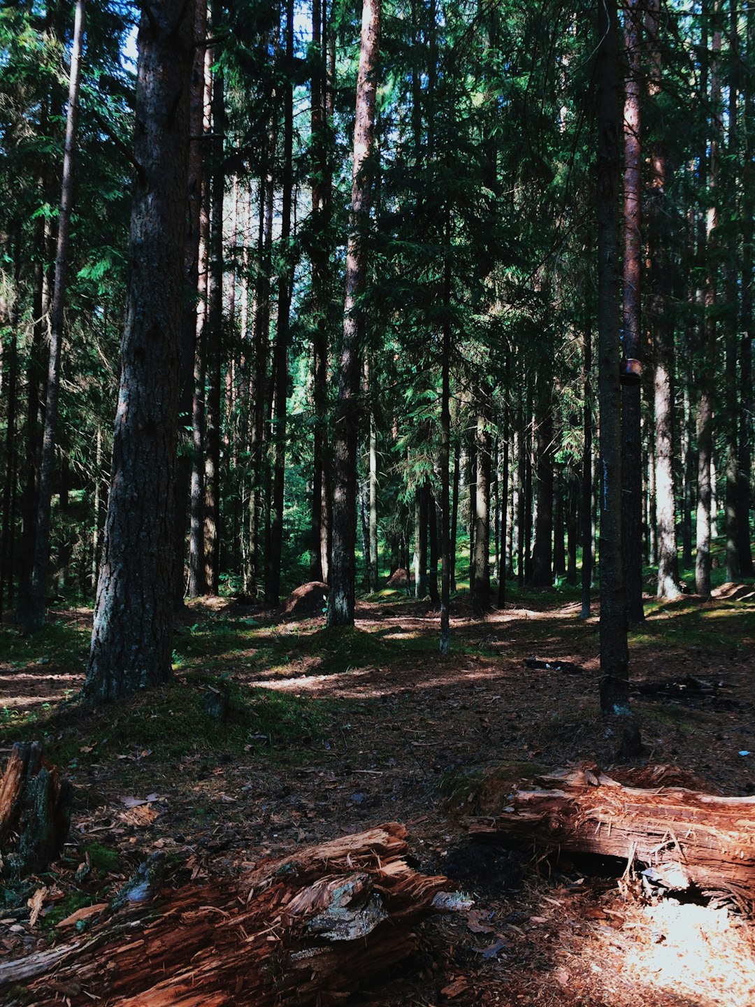 What is the value of my Virginia land when costing cash?