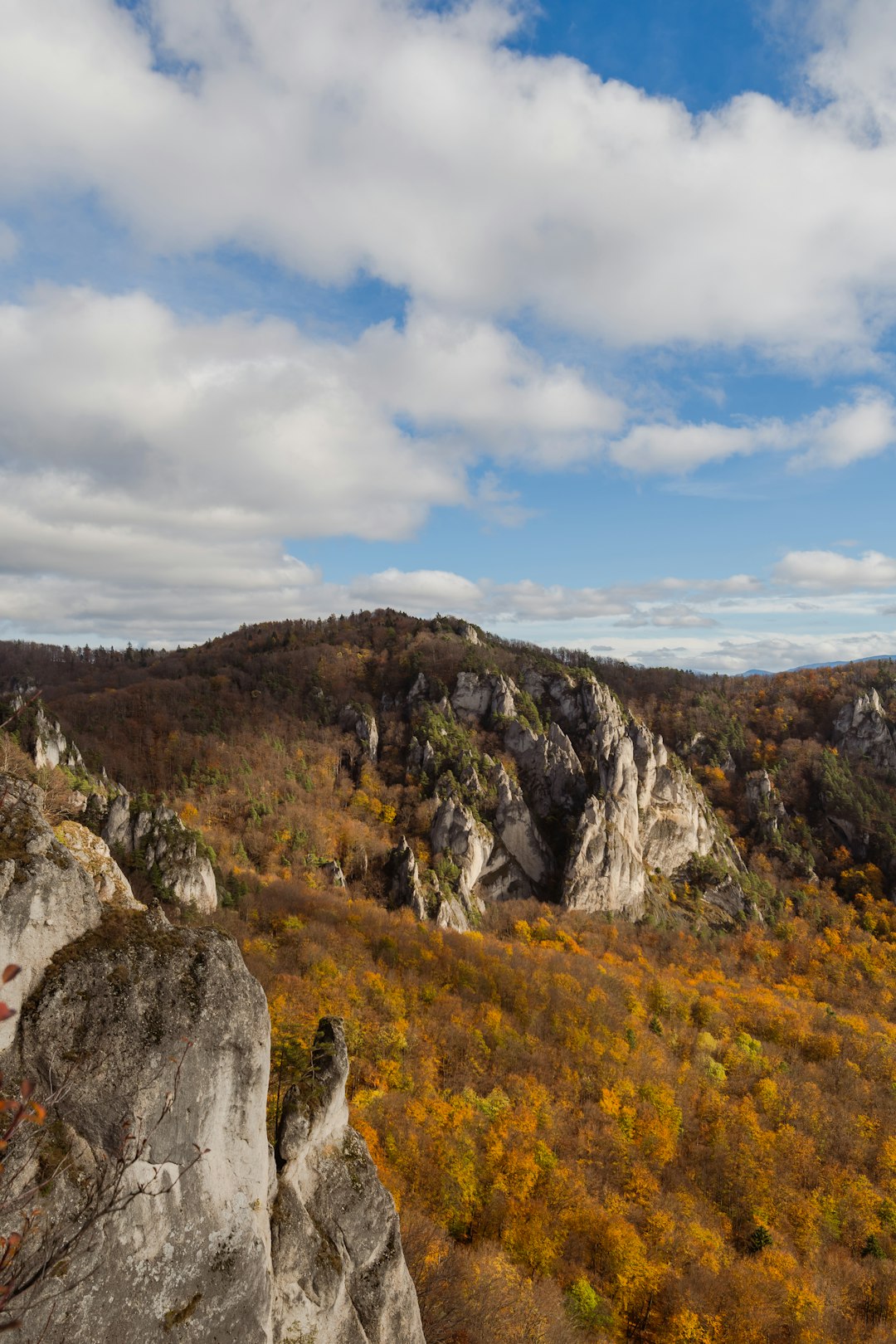 What are the advantages of offering Virginia land for cash?
